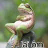 Tim girl giai sau