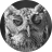 Cú Mèo