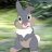 old rabbit