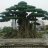 Daksong city