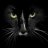 bloodcat