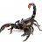 scorpion